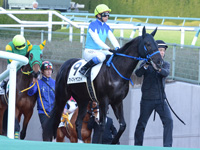 未勝利戦　本馬場入場