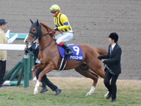 朝日杯フューチュリティＳ（ＧＩ）　本馬場入場