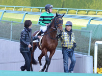 未勝利戦　本馬場入場