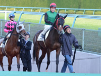 未勝利戦　本馬場入場