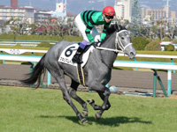 未勝利戦　キャンター