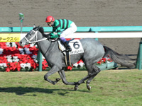 未勝利戦　ゴール前