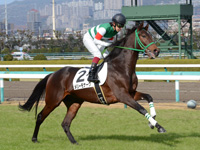 新馬戦　キャンター