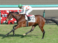 未勝利戦　ゴール前