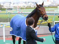 未勝利戦　口取り