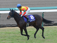 朝日杯フューチュリティＳ（ＧＩ）　キャンター
