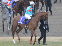 朝日杯フューチュリティＳ（ＧＩ）　本馬場入場