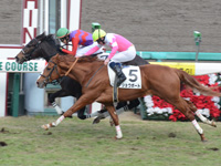 新馬戦　ゴール前（外2着）
