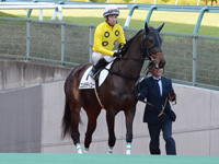 未勝利戦　本馬場入場