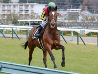 エリカ賞（500万）　キャンター