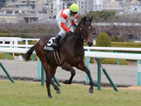 エリカ賞（500万）　キャンター