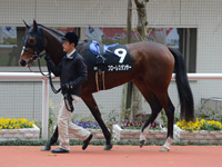 エリカ賞（500万）　パドック