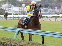 エリカ賞（500万）　キャンター