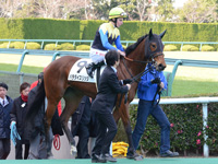 未勝利戦　本馬場入場