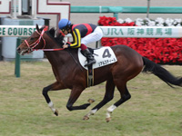 新馬戦　ゴール前