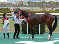 新馬戦　口取り