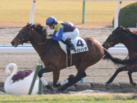 新馬戦　ゴール前