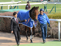 新馬戦　口取り
