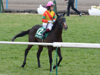 シンザン記念（ＧIII）　本馬場入場