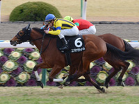 紅梅ステークス（ＯＰ）　ゴール前