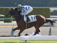 未勝利戦　キャンター