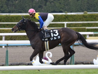 紅梅ステークス（ＯＰ）　キャンター