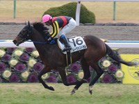 未勝利戦　ゴール前