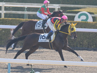 未勝利戦　キャンター