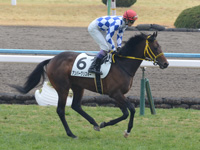 未勝利戦　キャンター