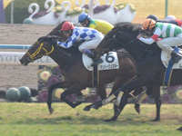 未勝利戦　ゴール前