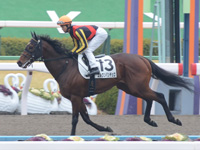 未勝利戦　キャンター