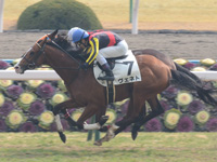 新馬戦　ゴール前