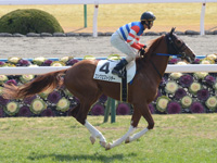 未勝利戦　キャンター