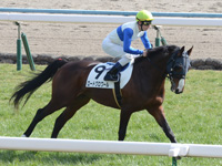 未勝利戦　キャンター
