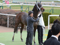 未勝利戦　口取り