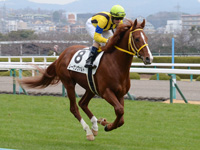未勝利戦　キャンター