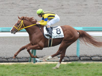 未勝利戦　ゴール前
