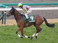 チューリップ賞（ＧIII）　キャンター