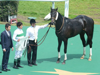 未勝利戦　口取り