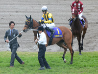 桜花賞（ＧＩ）　本馬場入場
