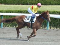 未勝利戦　キャンター