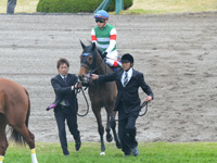 桜花賞（ＧＩ）　本馬場入場