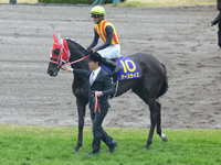 本馬場入場