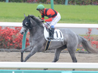 未勝利戦　キャンター