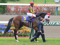皐月賞（ＧＩ）　本馬場入場