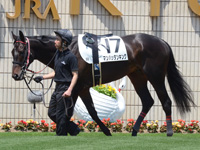 未勝利戦　パドック