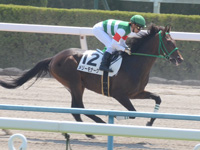 未勝利戦　キャンター