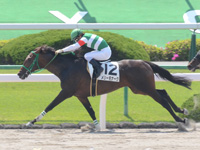 未勝利戦　ゴール前