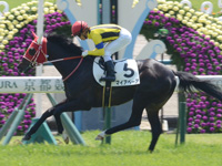 未勝利戦　ゴール前