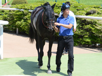 500万平場　口取り